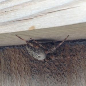 Meet your Posher, Dave